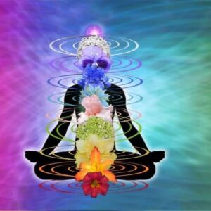 CHAKRA FLUSH HEALING