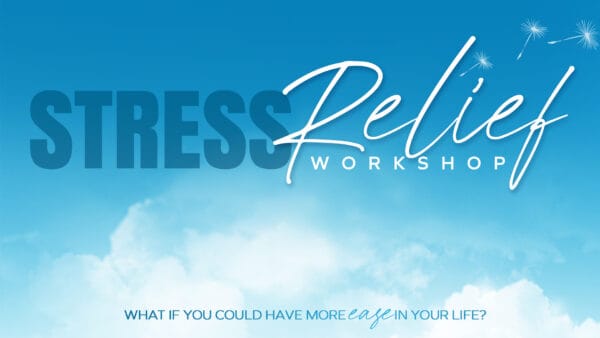 STRESS Release workshop